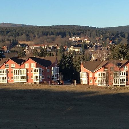 Apartment Gosch An Der Skiwiese ブラウンラーゲ エクステリア 写真